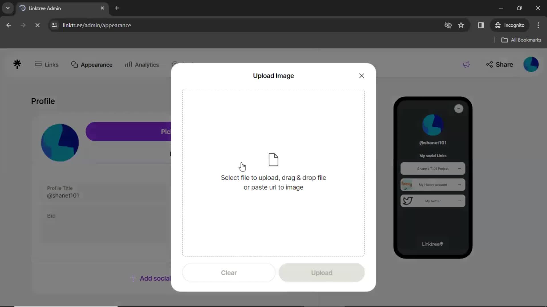 Customization settings on Linktree video thumbnail