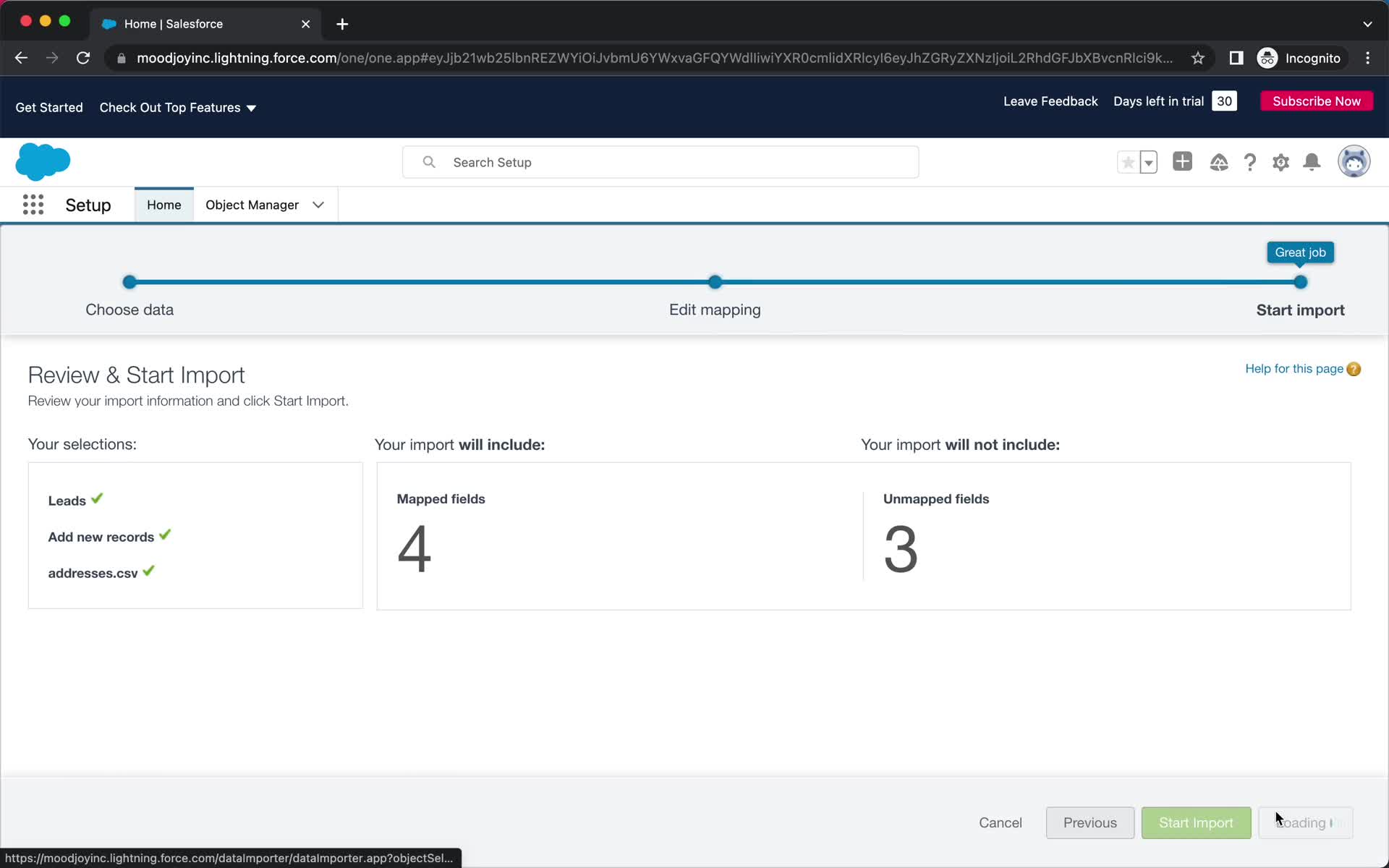 CSV import screenshot