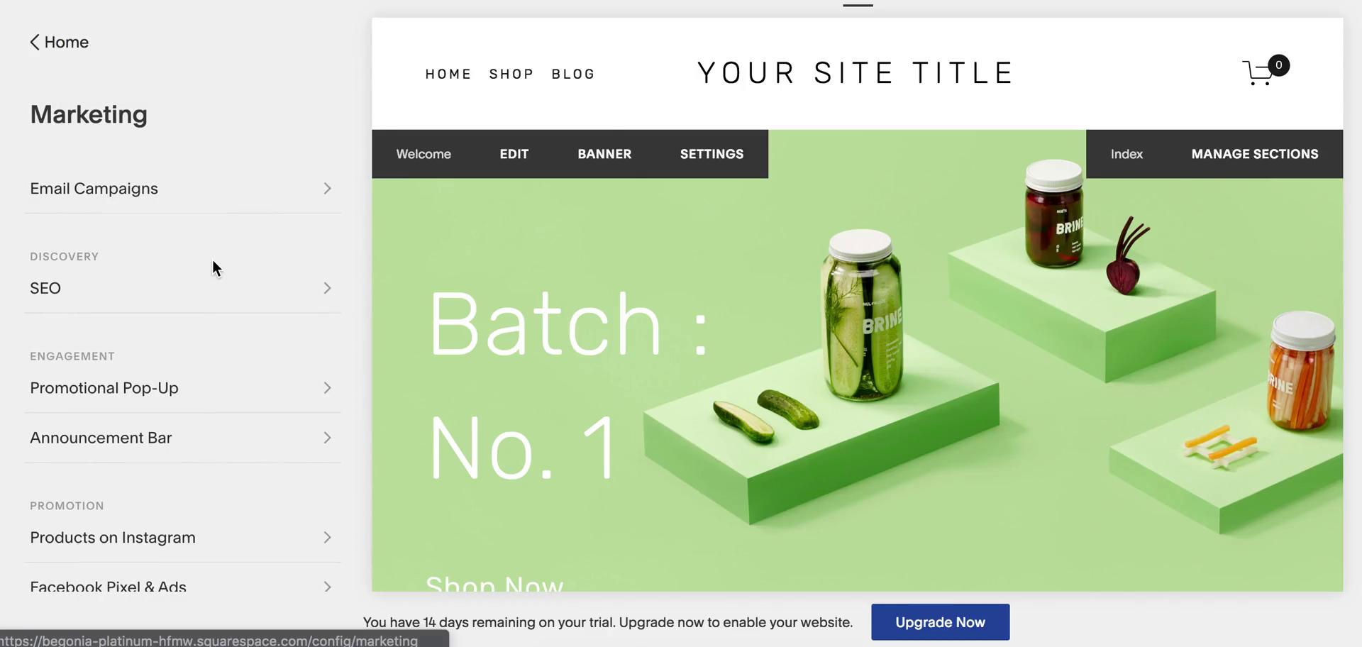 Creating an email campaign on Squarespace video thumbnail